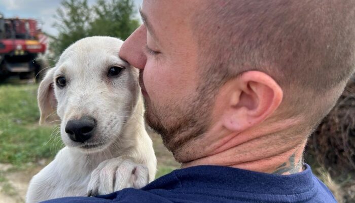 IMG-20240901-WA0019_