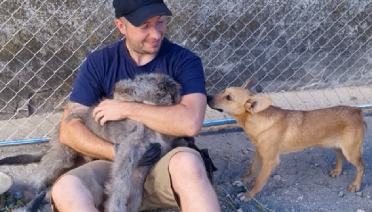 Screenshot 2026-01-02 102726