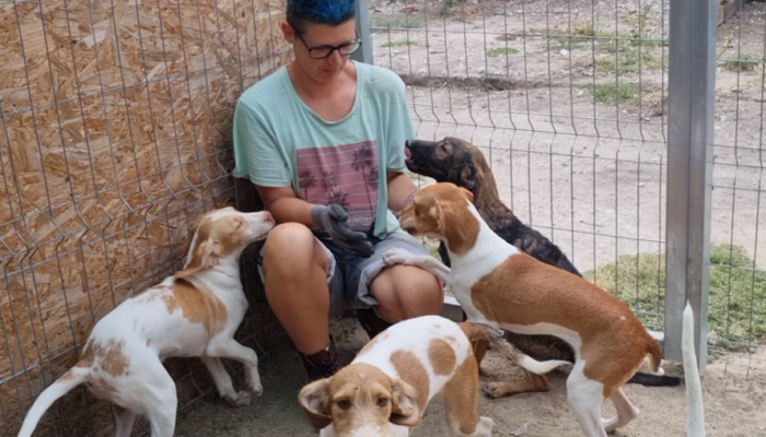 Screenshot 2026-01-02 103249