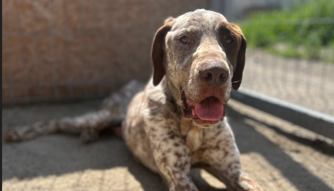 Screenshot 2026-01-02 103506